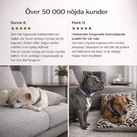 FästingFri – Skydd som håller din hund trygg utomhus